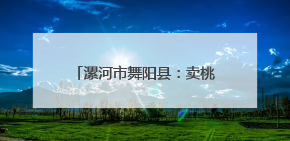 漯河市舞阳县：卖桃男孩背后的暖心故事