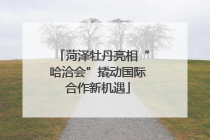 菏泽牡丹亮相“哈洽会”撬动国际合作新机遇