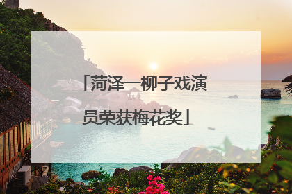 菏泽一柳子戏演员荣获梅花奖