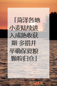菏泽各地小麦陆续进入成熟收获期 多措并举确保夏粮颗粒归仓