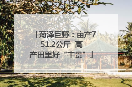 菏泽巨野：亩产751.2公斤  高产田里好“丰景”
