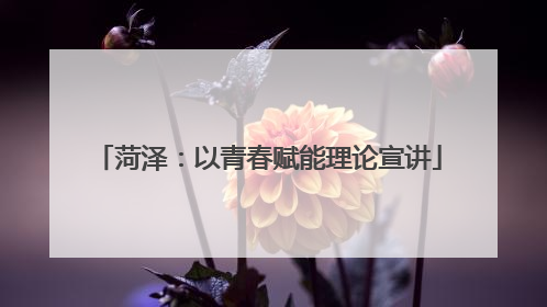 菏泽：以青春赋能理论宣讲