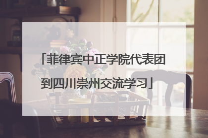 菲律宾中正学院代表团到四川崇州交流学习