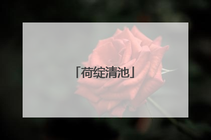荷绽清池