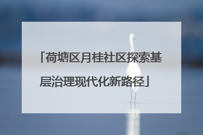 荷塘区月桂社区探索基层治理现代化新路径