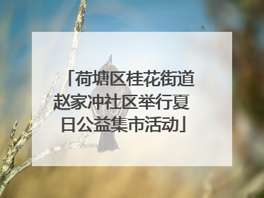 荷塘区桂花街道赵家冲社区举行夏日公益集市活动