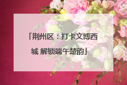 荆州区：打卡文博西城 解锁端午楚韵