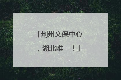 荆州文保中心，湖北唯一！