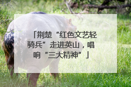 荆楚“红色文艺轻骑兵”走进英山，唱响“三大精神”