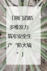 荆门消防多维发力 筑牢安全生产“防火墙”