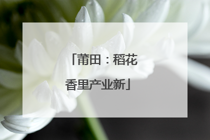 莆田：稻花香里产业新