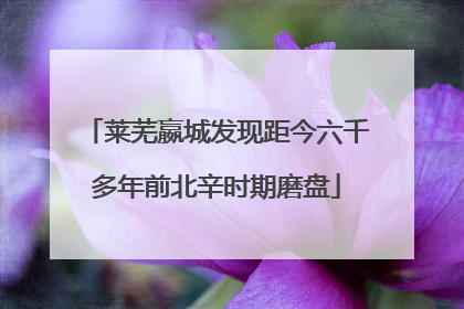 莱芜嬴城发现距今六千多年前北辛时期磨盘
