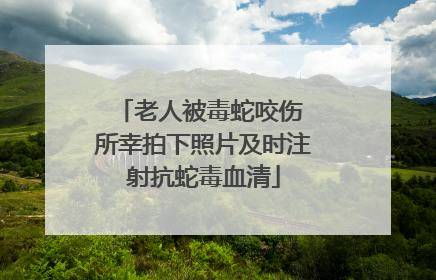 老人被毒蛇咬伤 所幸拍下照片及时注射抗蛇毒血清