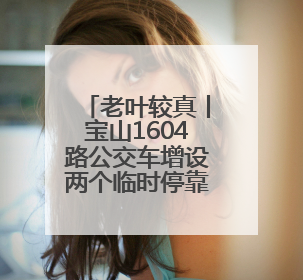 老叶较真丨宝山1604路公交车增设两个临时停靠站