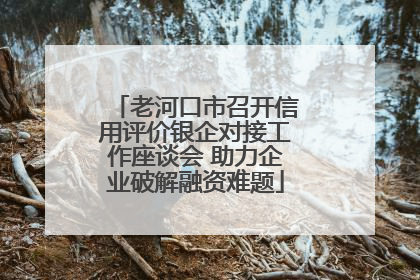 老河口市召开信用评价银企对接工作座谈会 助力企业破解融资难题