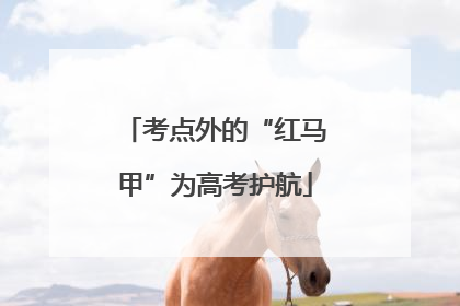 考点外的“红马甲”为高考护航