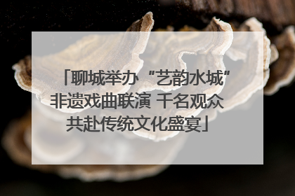 聊城举办“艺韵水城”非遗戏曲联演 千名观众共赴传统文化盛宴