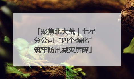 聚焦北大荒｜七星分公司“四个强化”筑牢防汛减灾屏障