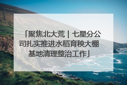 聚焦北大荒｜七星分公司扎实推进水稻育秧大棚基地清理整治工作