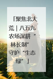 聚焦北大荒｜八五九农场深耕“林长制” 守护“生态绿”