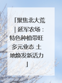 聚焦北大荒｜延军农场：特色种植带旺多元业态 土地焕发新活力