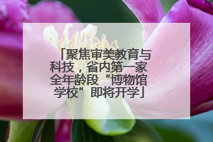 聚焦审美教育与科技，省内第一家全年龄段“博物馆学校”即将开学