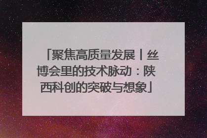 聚焦高质量发展丨丝博会里的技术脉动：陕西科创的突破与想象