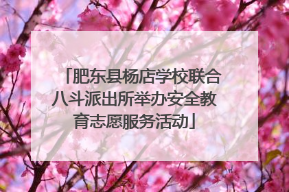 肥东县杨店学校联合八斗派出所举办安全教育志愿服务活动