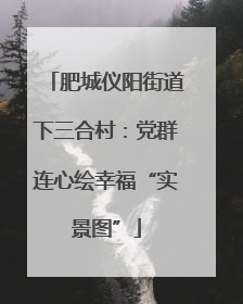 肥城仪阳街道下三合村：党群连心绘幸福“实景图”