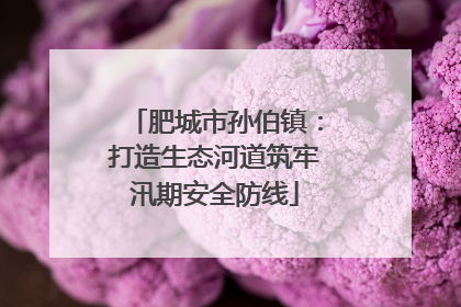 肥城市孙伯镇：打造生态河道筑牢汛期安全防线