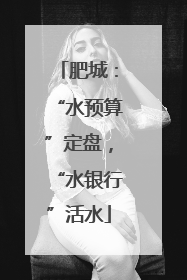 肥城：“水预算”定盘，“水银行”活水