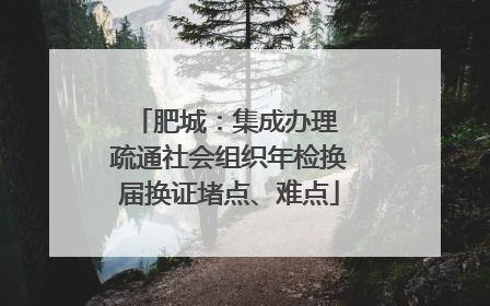 肥城：集成办理 疏通社会组织年检换届换证堵点、难点
