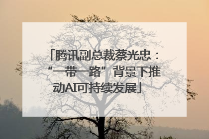 腾讯副总裁蔡光忠：“一带一路”背景下推动AI可持续发展