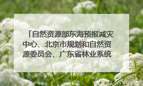 自然资源部东海预报减灾中心、北京市规划和自然资源委员会、广东省林业系统等正在招聘｜招聘信息
