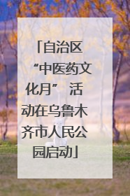 自治区 “中医药文化月” 活动在乌鲁木齐市人民公园启动