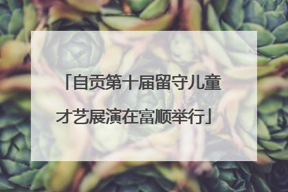 自贡第十届留守儿童才艺展演在富顺举行
