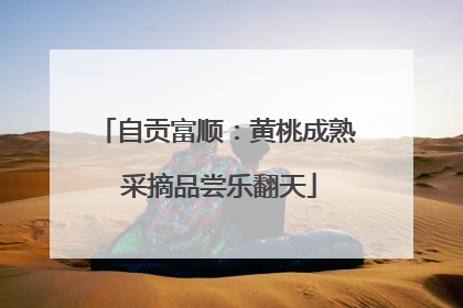 自贡富顺：黄桃成熟 采摘品尝乐翻天