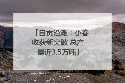 自贡沿滩：小春收获新突破 总产量近3.5万吨