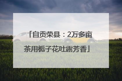 自贡荣县：2万多亩茶用栀子花吐露芳香