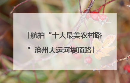 航拍“十大最美农村路”沧州大运河堤顶路