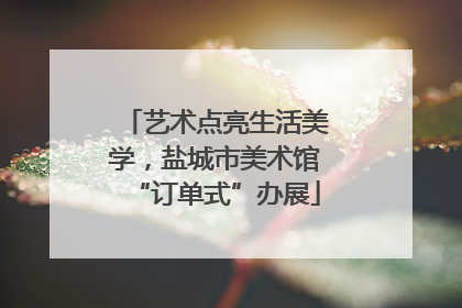 艺术点亮生活美学，盐城市美术馆“订单式”办展