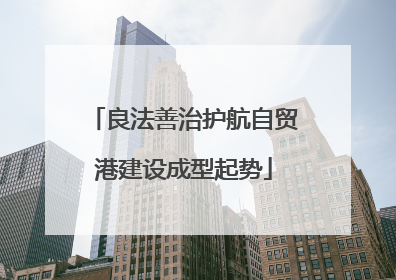 良法善治护航自贸港建设成型起势