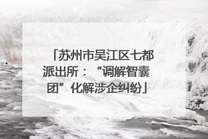 苏州市吴江区七都派出所：“调解智囊团”化解涉企纠纷