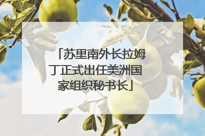苏里南外长拉姆丁正式出任美洲国家组织秘书长