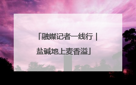 融媒记者一线行｜盐碱地上麦香溢