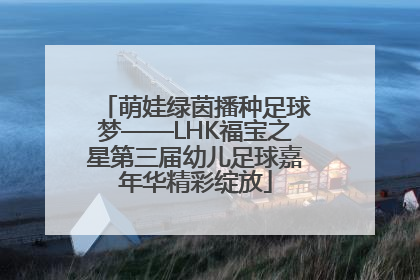 萌娃绿茵播种足球梦——LHK福宝之星第三届幼儿足球嘉年华精彩绽放