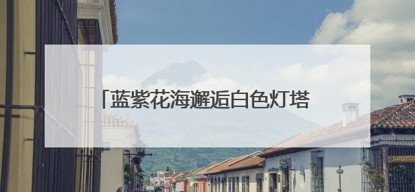 蓝紫花海邂逅白色灯塔 金海湾初夏浪漫引客来