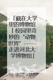 藏在大学里的博物馆丨校园里奇妙的“动物世界”——走进河北大学博物馆