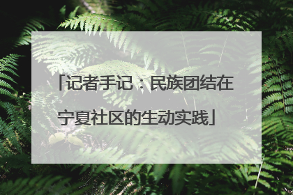 记者手记：民族团结在宁夏社区的生动实践