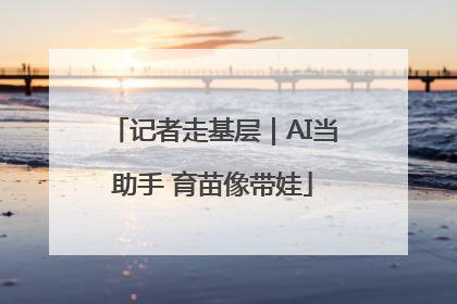 记者走基层｜AI当助手 育苗像带娃